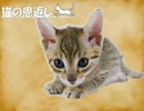 【Cathulhu】初めてに贈る猫CoC ep.1【猫の恩返し】