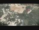 PS4 Call of Duty：Ghosts 何故だか走れないバグ　解決法お願いします