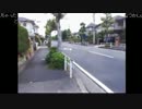 ハシケン 都内！自然満喫！長沼公園に行ってみたい6/13