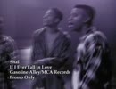 Shai -  If I Ever Fall In Love (Acapella)