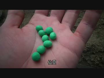 はじめての農家生活　その11