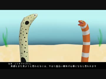 チンアナゴさん　第7話「驚異的な中毒性」