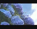 ミドリノミサキ 五月雨の空 30sec.スポットMV
