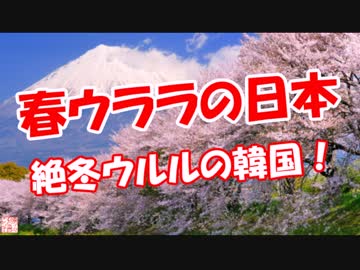 【春ウララの日本】 厳冬ウルルの韓国！