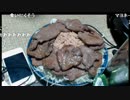 よっさんの牛タン丼
