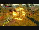ウィッチャー３　ワイルドハント　プレイ日記9
