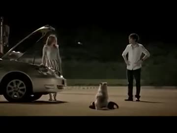 子犬の恩返し
