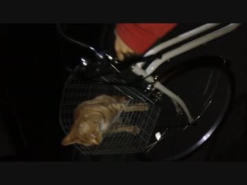 ねこちゃり
