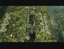 【実況】弓魔法厨の俺が近接スタイルに挑むッ！Darksoul2 part11