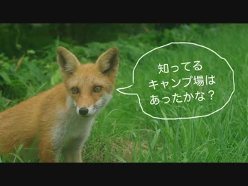 北海道キャンプ場コレクション