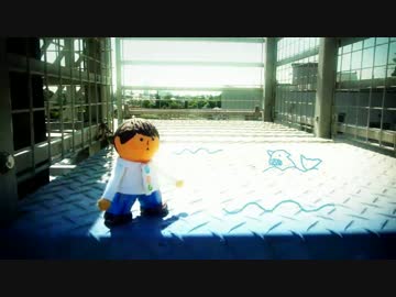 『夜のくじら』歌ってみた