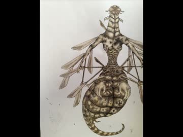 フリーBGM「684年の魚」