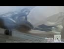 ヘビの交尾その１．