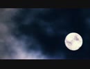 UNDER THE MOONLIGHT / HIDE