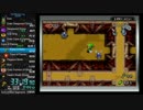 【ゼルダの伝説】ふしぎのぼうしバグ有RTA in 2:02:17 part2