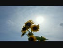 Interum venturus est cum gloria judicare vivos et mortuos 〔 KirnbergerⅢ Scale 〕.mp4