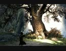 【作業用】BackGroundSkyrim014