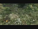 【実況】弓魔法厨の俺が近接スタイルに挑むッ！Darksoul2 part12