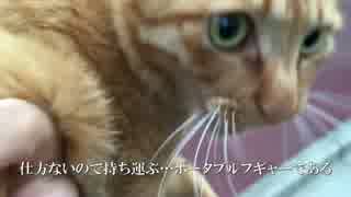 【公園猫戦争】わたしフギャアアアアいま家の前にフギャアアアア