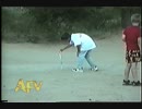【子犬】花火をやる時には周囲に充分気をつけて【花火】