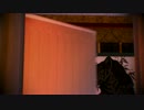 【MMD刀剣乱舞】「とても暑いので俺の主が家で冷えててウキウキする」