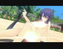 【閃乱カグラEV】忍転身＆秘伝忍法集4&他