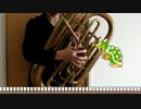 チューバで「スーパーマリオブラザーズ」を演奏してみた【吹奏楽】