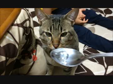 ぼんちゃんの味覚がおかしい件。