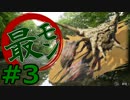 【実況】最低限文化的な狩りをするモンスターハンター4G #3【MH4G】