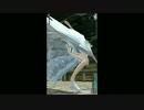 【PSO2】マリアージュドレス（空）＋ダンス34＝パンツ
