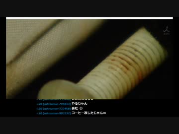 【渋谷のキング】 アフレコに挑戦 【神回】