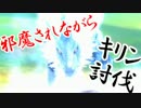 【MH4G】ここから先は遊猟です。　番外編④