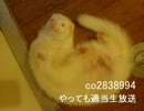 やってもの適当生放送アーカイブ動画　その１