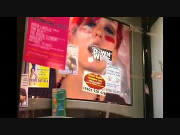 THE YOUNG PUNX【MASHitUP】2008