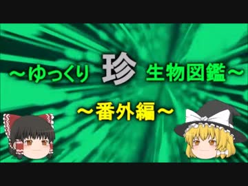 ～ゆっくり　珍　生物図鑑～　新・番外編【1】