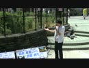 【2015/5/30】自虐史観脱却を訴える啓蒙街宣in新宿2