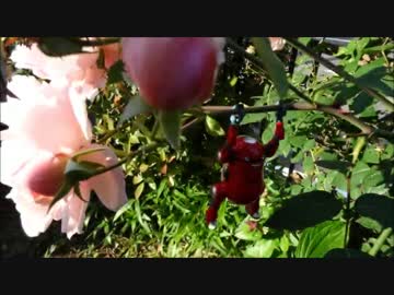 もぐら、の運行日誌【その96】