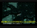 【実況】僕の初ノトリガー【クロノ・トリガー】part14