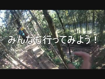 フォレストアドベンチャー箱根に行ってきた！（去年１１月末に）