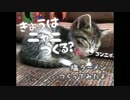 ♪03　塩ラーメン作ってみたよ