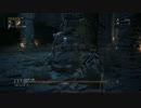 完全初見で ブラッドボーン を実況プレイ　第21夜