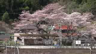 駅巡り (293) 錦川鉄道 錦川清流線 椋野駅