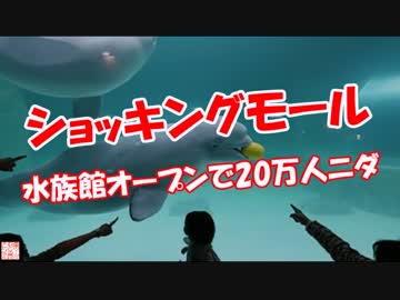 【ショッキングモール】 水族館オープンで20万人ニダ!