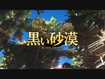 【外付けグラボ】ノートパソコンにGTX960積んで黒い砂漠やってみた?!