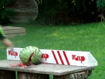 先端からガスを噴射し刺したものを破裂させるナイフ　「ワスプナイフ」