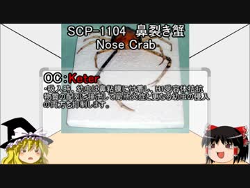 ゆっくり霊夢と魔理沙のSCP講座19