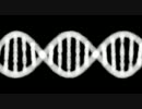 螺旋 構造（DNA）が　回転する　アニメーション