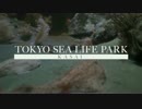 [超高感度] TOKYO SEA LIFE PARK KASAI part2