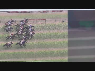 第82回日本ダービー観戦その４(第９Ｒ)