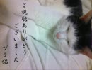 【弾いてみた】 magnet 【ヅラ猫】